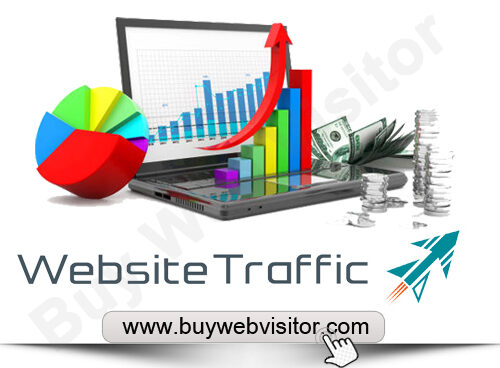 Real Website Traffic